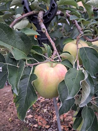 작은정원 박기석님의 자유주제 · 자유게시판 작성글 사진