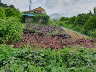 마바리63님의 기타작물 · 영농일지 작성글 사진