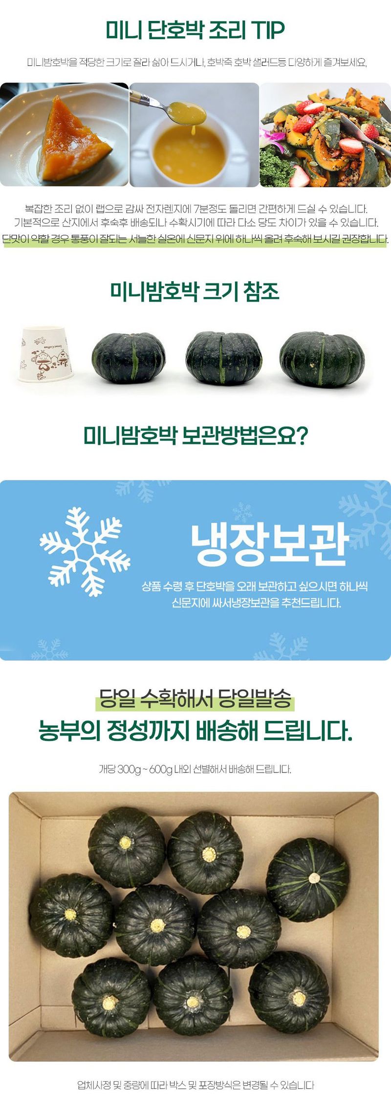 초록미소 금호농장님의 장터 판매 상품 [[품절] 해남 친환경 무농약 미니밤호박 보우짱 2kg 4kg를 판매합니다.] 첨부 사진