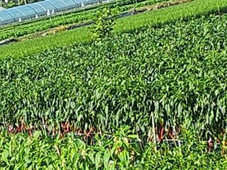 박준호님의 자유주제 · 자유게시판 작성글 사진