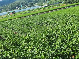 박준호님의 자유주제 · 자유게시판 작성글 사진