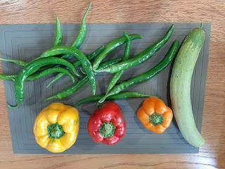 이응천님의 기타작물 · 영농일지 작성글 사진