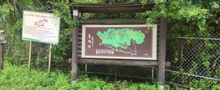 장기수님의 자유주제 · 자유게시판 작성글 사진