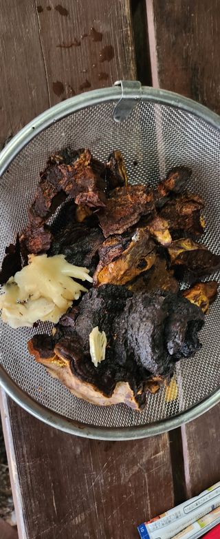 장기수님의 자유주제 · 자유게시판 작성글 사진