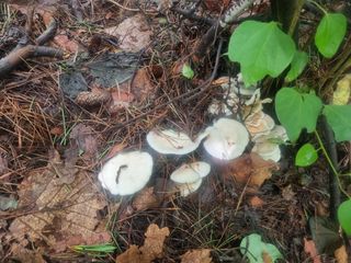 장기수님의 자유주제 · 자유게시판 작성글 사진