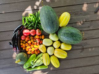 이기연님의 자유주제 · 자유게시판 작성글 사진