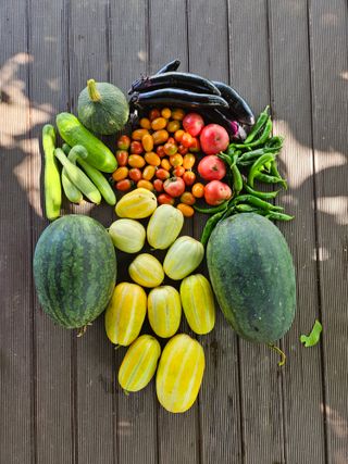 이기연님의 자유주제 · 자유게시판 작성글 사진