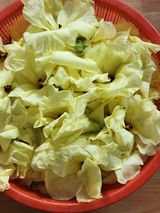 팜모닝 🌧️7월 내 작물 자랑하기·참여글 게시글 이미지