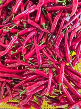 팜모닝 고추·영농일지 게시글 이미지