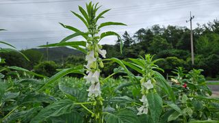 송정님의 자유주제 · 사진전 작성글 사진