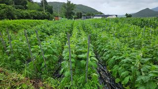 송정님의 자유주제 · 사진전 작성글 사진