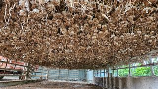 송정님의 자유주제 · 사진전 작성글 사진