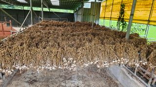 송정님의 자유주제 · 사진전 작성글 사진