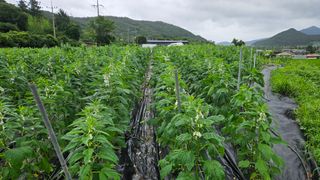 송정님의 자유주제 · 사진전 작성글 사진