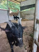 팜모닝 자유주제·자유게시판 게시글 이미지