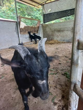 중딩농부정성엽님의 자유주제 · 자유게시판 작성글 사진