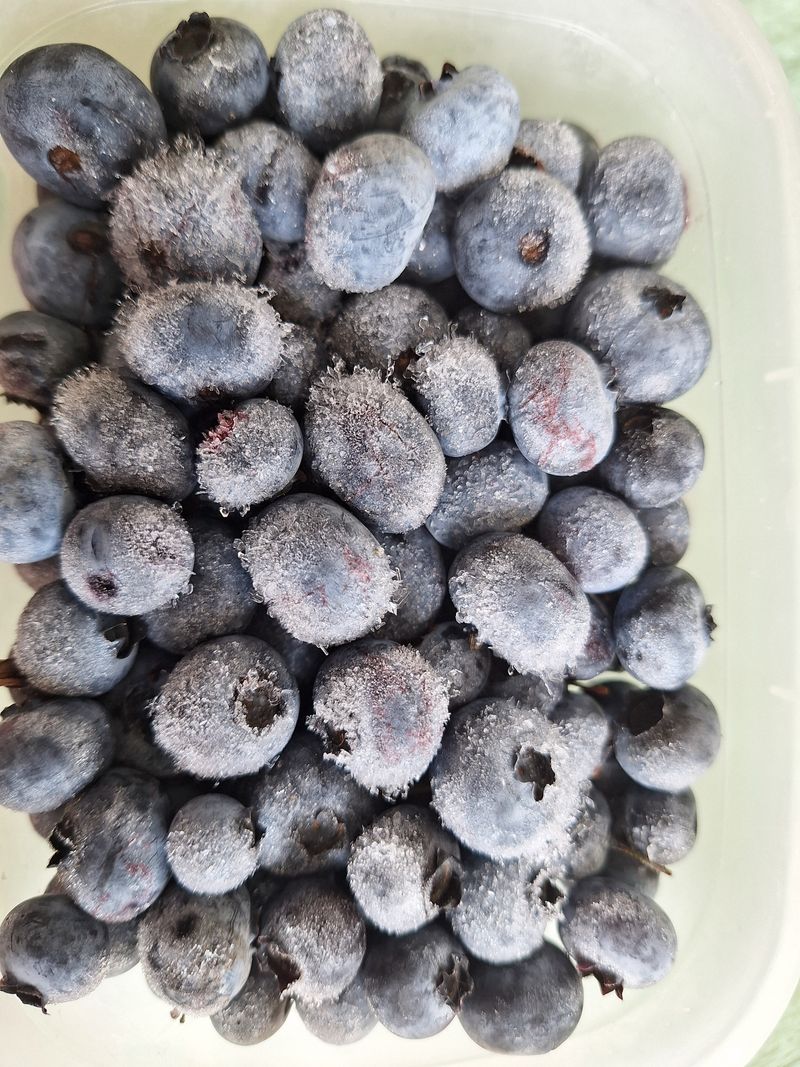 장터 상품 [냉동블루베리1kg] 썸네일