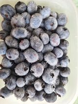 팜모닝 · 게시글 이미지