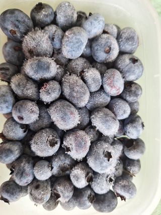 하동베리굿베리팜님의 작성글 사진