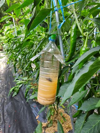 감7768님의 자유주제 · 자유게시판 작성글 사진