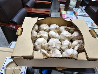 장문철님의 🧄마늘 농협 수매가 알아보기 · 참여글 작성글 사진