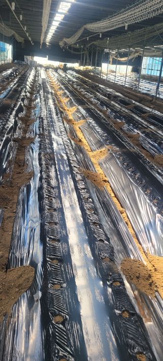 사랑꽃농장님의 자유주제 · 자유게시판 작성글 사진