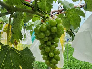 양금님의 자유주제 · 자유게시판 작성글 사진