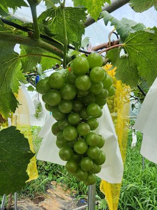 양금님의 자유주제 · 자유게시판 작성글 사진