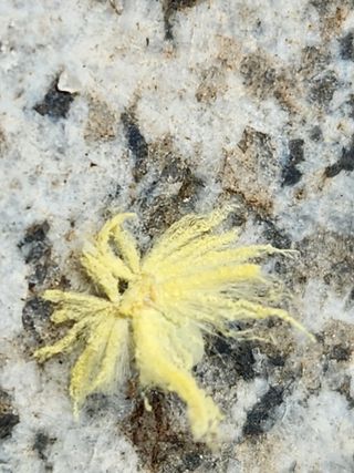 유덕균님의 자유주제 · 사진전 작성글 사진