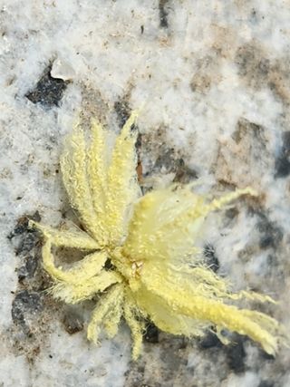 유덕균님의 자유주제 · 사진전 작성글 사진