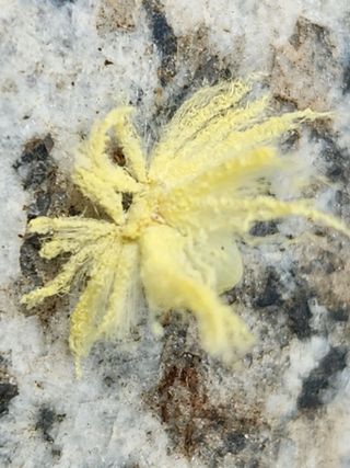 유덕균님의 자유주제 · 사진전 작성글 사진