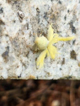 유덕균님의 자유주제 · 사진전 작성글 사진