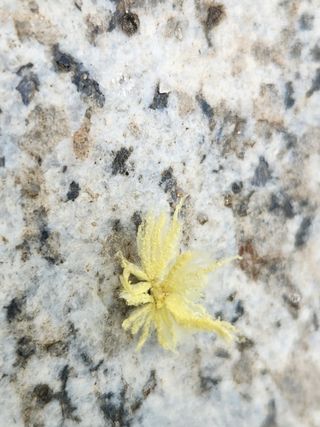 유덕균님의 자유주제 · 사진전 작성글 사진