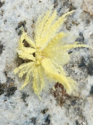 유덕균님의 자유주제 · 사진전 작성글 사진