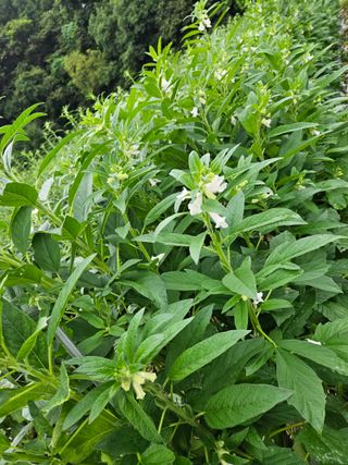 송인자님의 자유주제 · 자유게시판 작성글 사진