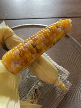 팜모닝 옥수수·영농일지 게시글 이미지