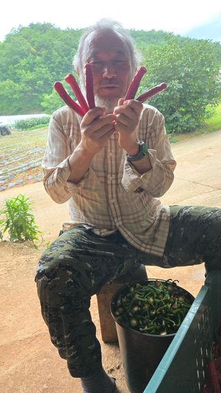 영월산지기148님의 🌧️7월 내 작물 자랑하기 · 참여글 작성글 사진