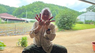 영월산지기148님의 🌧️7월 내 작물 자랑하기 · 참여글 작성글 사진