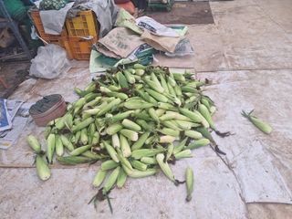 오춘섭님의 자유주제 · 자유게시판 작성글 사진