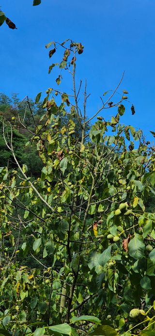 모실표고님의 자유주제 · 자유게시판 작성글 사진