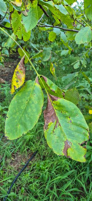 모실표고님의 자유주제 · 자유게시판 작성글 사진