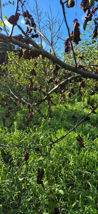 모실표고님의 자유주제 · 자유게시판 작성글 사진