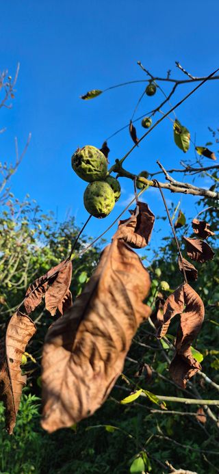 모실표고님의 자유주제 · 자유게시판 작성글 사진