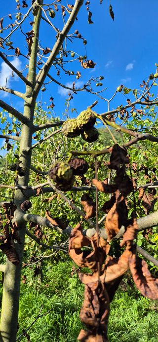 모실표고님의 자유주제 · 자유게시판 작성글 사진