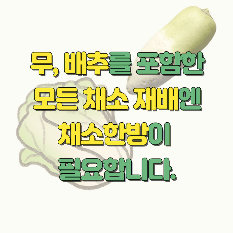 삼익농자재님의 장터 판매 상품 [[도프] 채소한방 2kg 배추 무 전용 비료 붕소 미량요소 / 네오큐 1리터 배추무름병 영양제] 첨부 사진