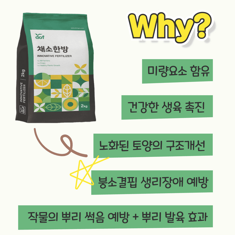 삼익농자재님의 장터 판매 상품 [[도프] 채소한방 2kg 배추 무 전용 비료 붕소 미량요소 / 네오큐 1리터 배추무름병 영양제] 첨부 사진