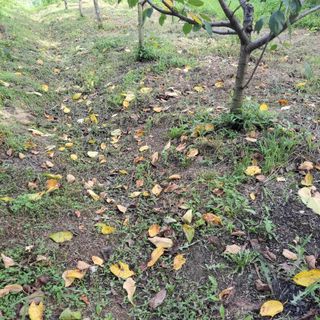 박정희 님의 자유주제 · 자유게시판 작성글 사진