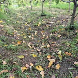 박정희 님의 자유주제 · 자유게시판 작성글 사진