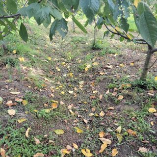 박정희 님의 자유주제 · 자유게시판 작성글 사진