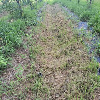 박정희 님의 자유주제 · 자유게시판 작성글 사진